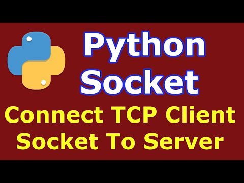 Python Socket | How To Connect TCP Client Socket To Server | Python Socket Programming