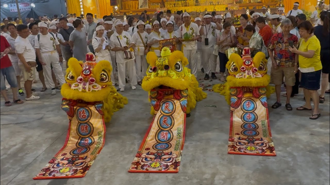 新加坡雲封體育會 Hoon Hong Lion Dance Cai Qing Performance at Yu Feng Jiu Huang Dian 29 October 2025