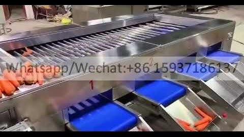 sorting machine potato tomato garlic chili pepper onion carrot cucumber Mushroom grading machine