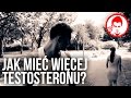 Jak mieć więcej testosteronu?