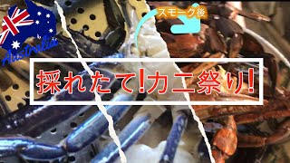 【オーストラリアで採れたてカニ祭り！】じぃちゃんが釣ってきたブルースイマー(蟹)を初めて見るオーストラリア生まれの可愛い子犬達！え？じぃちゃん、蟹さんに何してるの!? by Terrierz life 10 views 1 year ago 3 minutes, 40 seconds