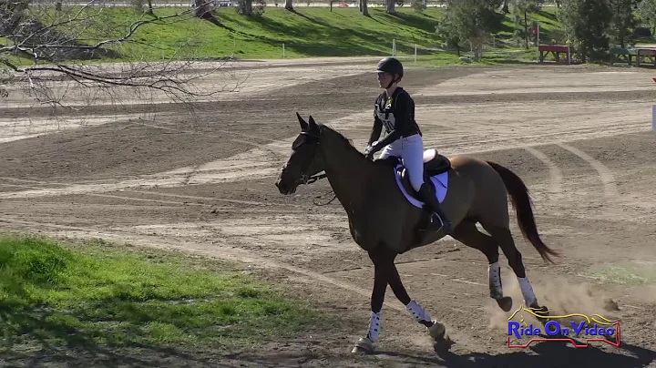 130XC Kennah Glickman on Gaelic Wealth JR Novice C...