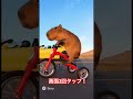 カピバラが三輪車でレース#ai