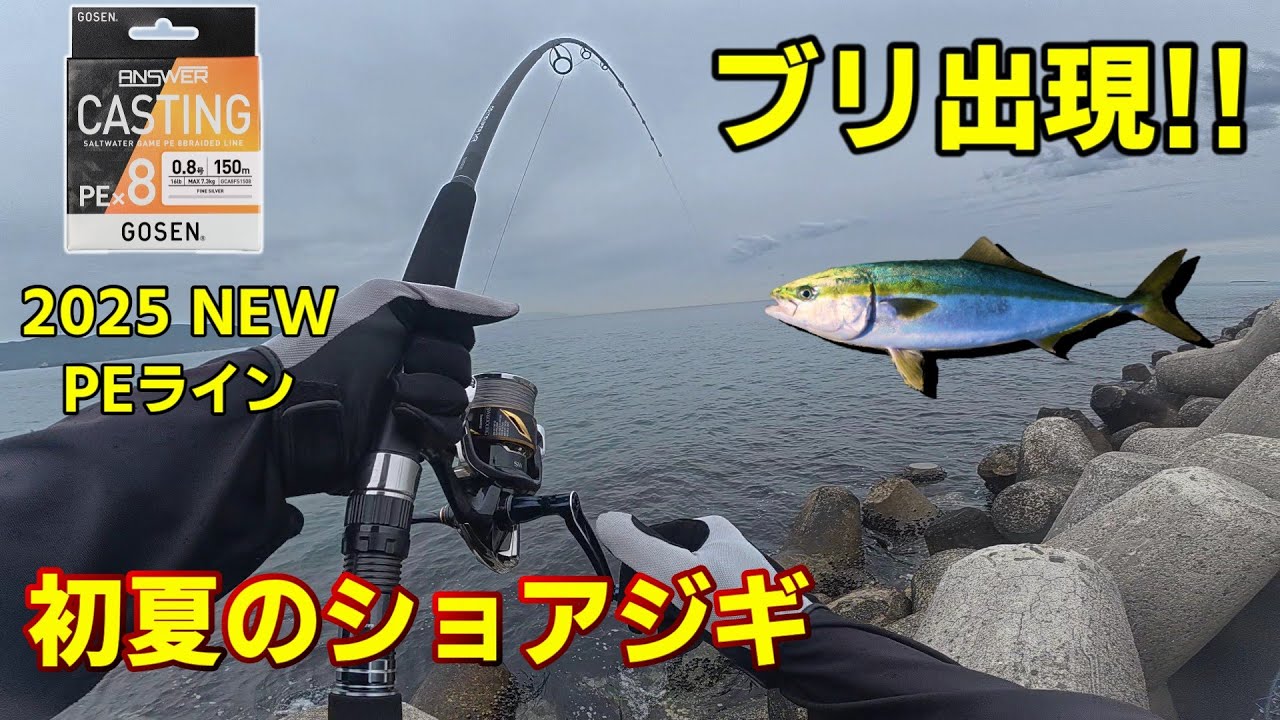 【2025年初夏】新PEラインで狙う青物ショアジギング！狙い撃ちでブリ降臨！