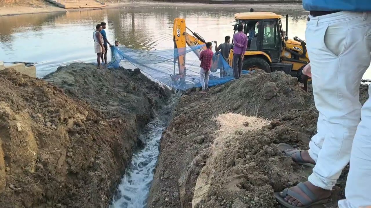 Gao ka machhali🐟🐳🐋🐠🦀🐙🦪🦑#shorts #vlog #explore #machhali 