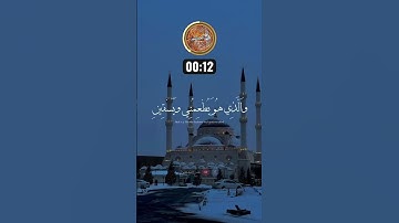 الذي خلقني فهو يهدين 📿🌾 \ #تلاوة_خاشعة #المصحف #التوبة #اكسبلور