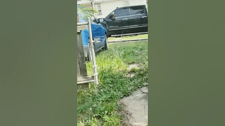 Before video of one of my yards ￼