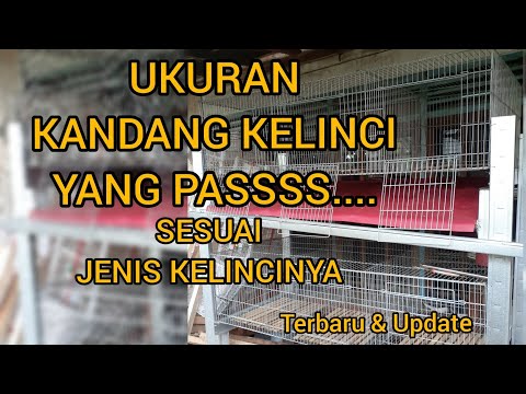 Video: Seberapa Besar Kandang Kelinci Saya?