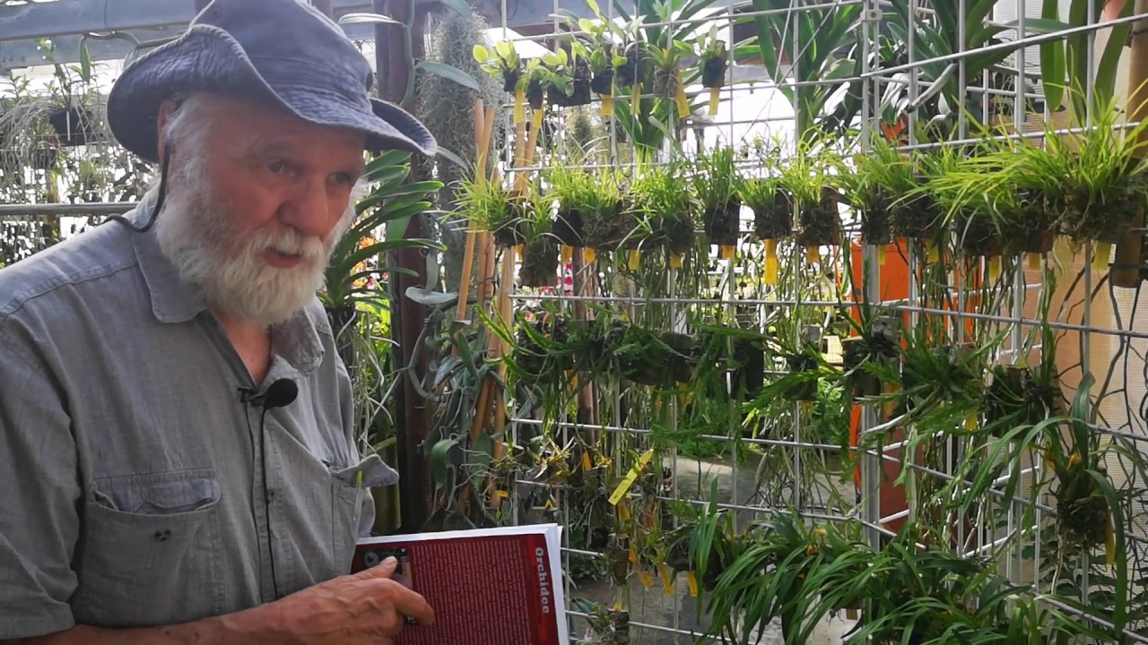 Orchidee zattere: Offerta per chi vuol cominciare a divertirsi con le zattere