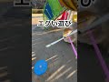 公園での一発芸です　#shorts