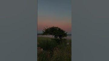 Thumbnail of landscape with a fairy - aspidistrafly