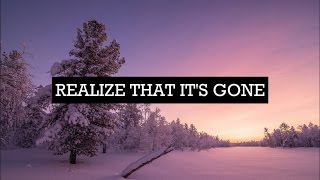 REALIZE THAT IT'S GONE - TYLER JOSEPH (Lyric Video)