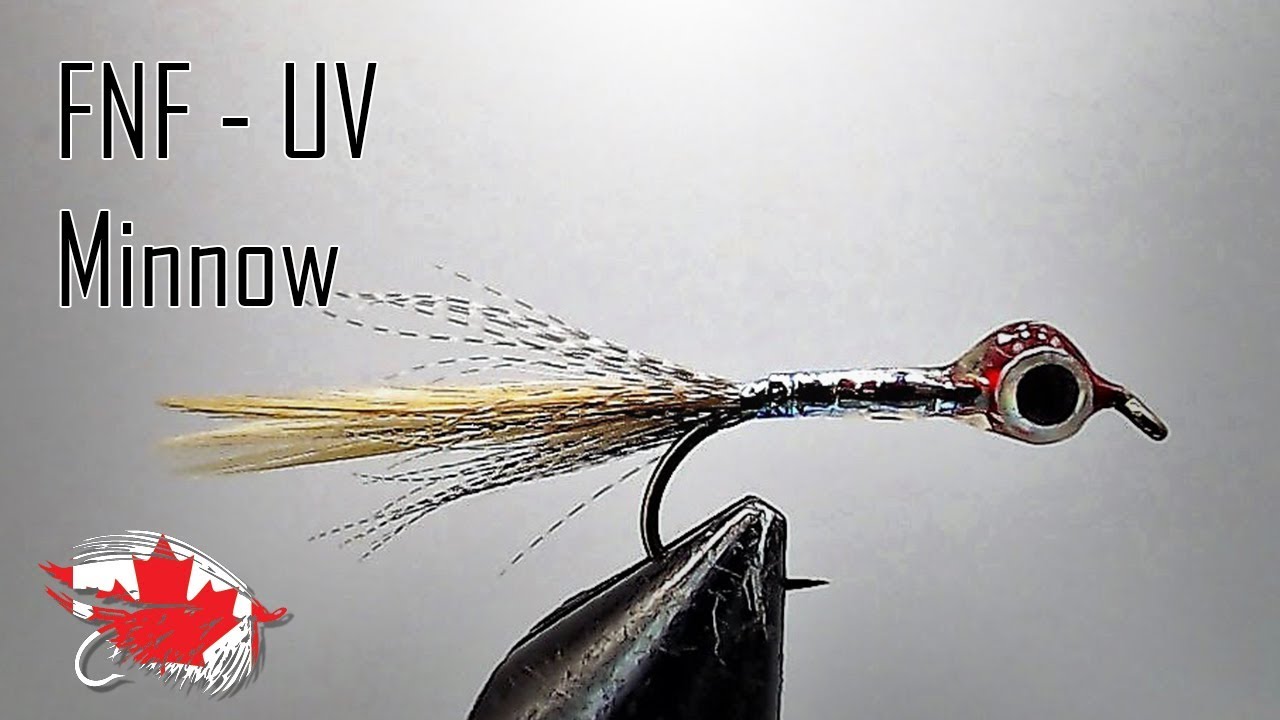 Tube and Minnow Fly Tying Veniard UV Resin Moulds Eye Tube and Minnow Fly Tying Veniard UV Resin Moulds Eye