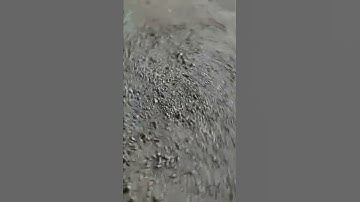 تلاوة خاشعة من صلاة العشاء