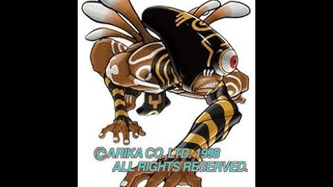 Fighting Layer - Cappricio