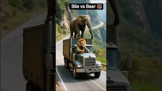 Bear Vs Bile Real Wild Fight Shocking End