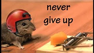 👌 NEVER GIVE UP | BEST 10 HOUR MOTIVATION VIDEO | FOR SUCCESS WHILE YOU SLEEP | by Millionaire In The Mirror 10,257 views 3 years ago 10 hours, 2 minutes