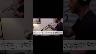 Daylight - David Kushner (Trumpet Cover) #trumpet #davidkushner #daylight