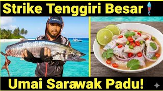 Big Mackerel Strike 🎣 Terus Membuat Umai Sarawak Menjadi yang Terkuat! Big Mackerel Strike 🎣 Terus Membuat Umai Sarawak Menjadi yang Terkuat!