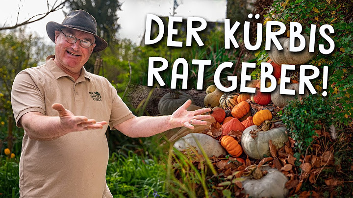 Kürbis richtig anbauen 🎃 - Tipps zur erfolgreichen Aussaat, Pflege und Ernte