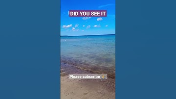 The observation test video #shorts #beach