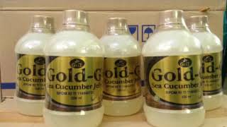 WAJIB  TAHU!!  Inilah  10 Manfaat Jelly Gamat Gold G Asli