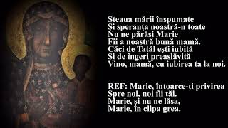 Video thumbnail of "Marie, întoarce-ţi privirea spre noi, noi fii tăi"