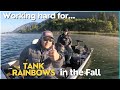 Fly fishing lakes in bc tank rainbow trout in the fall