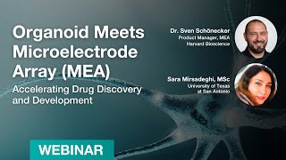 Information Organoid Meets Microelectrode Array (MEA) - Webinar News