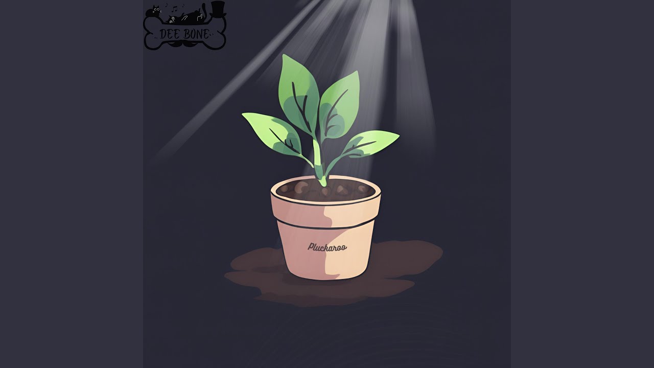 YouTube에서 Pluckaroo 보기 YouTube에서 Pluckaroo 보기