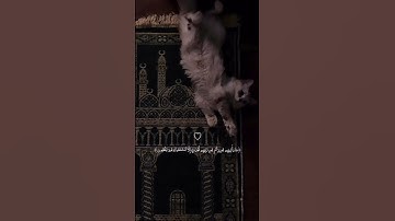 سورة الأنبياء اية 1 الشيخ ماهر المعيقلي
