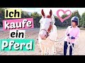 Ich kaufe ein PFERD 😳 mein eigenes Pony ❤️ | ViktoriaSarina