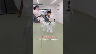 Download Lagu コンビネーション・ドリル #大谷道場  #空手 #fullcontactkarate #kyokushin #karategirl #martialarts #shorts MP3