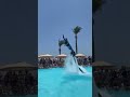 Skills!@flyboardmagdy #seacabo #music #watersports