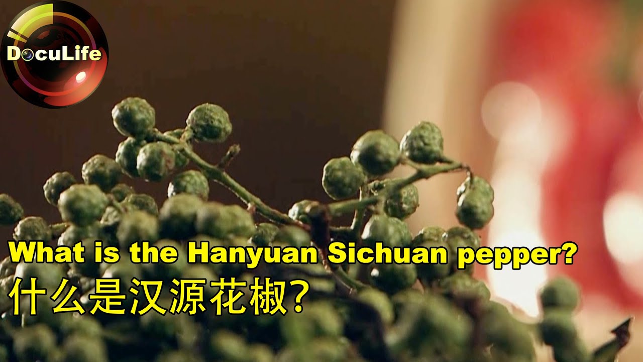 What is the Hanyuan Sichuan pepper 什么是汉源花椒？