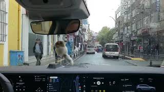 Togg - Belalım Benim - Akçaabat