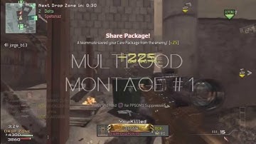 Multi-Cod Montage 1