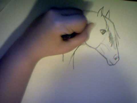 Tutorial Come Disegnare Un Cavallo Parte 1draw A Horse