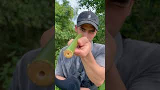 Survival Skillshow To Make A Blowgun