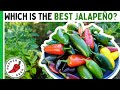Which is the best jalapeo pepper tasting 8 varieties  pepper geek