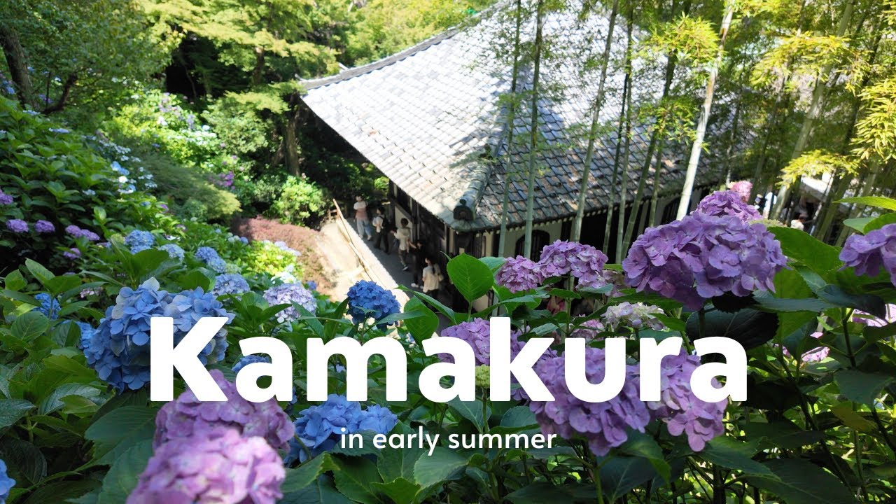 An Early Summer Trip to Kamakura 🚃🇯🇵 Hydrangeas, Temples & Wagashi Making 🍡 Japan VLOG 📸
