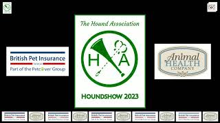 Houndshow 2023 Best in Show