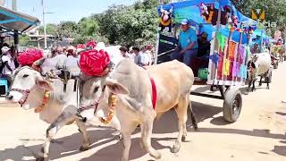 procesión de toros by Valencia Tradiciones de Oaxaca 861 views 11 days ago 10 minutes, 37 seconds