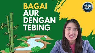 【PERIBAHASA】BAGAI AUR DENGAN TEBING |【学到】|  ANGELIA