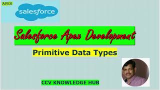 Salesforce Apex Development-1(Primitive Data Types)