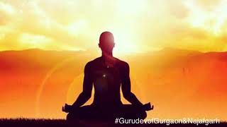 Decoding Divinity, Gurudevs Way- Part 1 Mp4