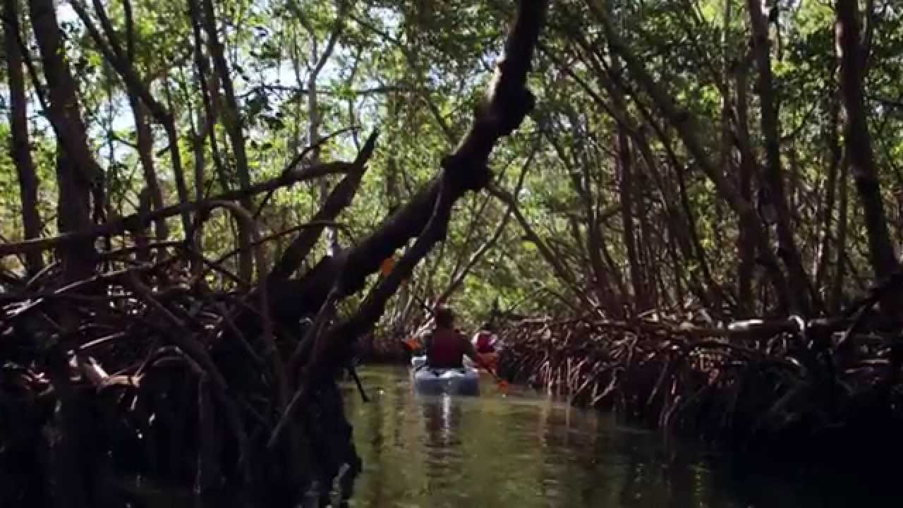 Florida Travel: Adventures in 30 Seconds
