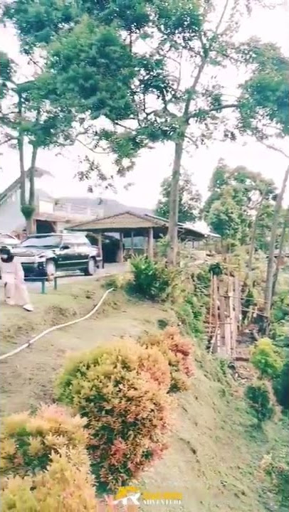 Sound Of Nature - Bukit Panorama Gunung Salak #shorts #nature