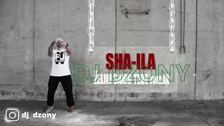 SHA ILA - ZELIM SAMO TEBE ( DJ Dzony Remix 2020 )