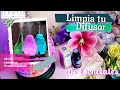 Cómo #limpiar tu #difusor de #aceites esenciales Scentsy